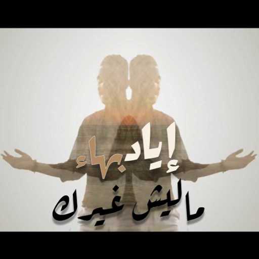 كلمات اغنية إياد بهاء – ماليش غيرك مكتوبة