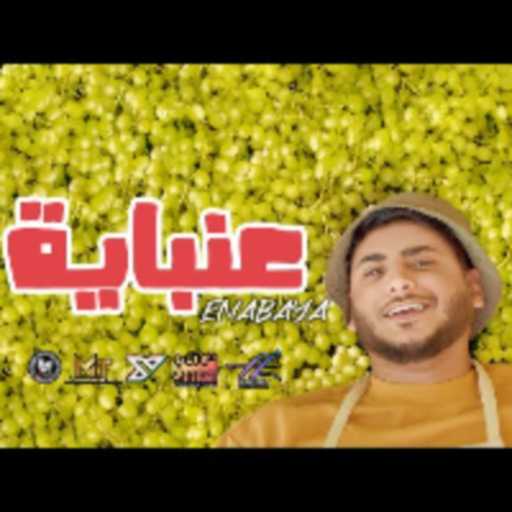 كلمات اغنية يحيي علاء – عنبايه مكتوبة