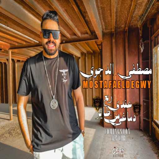 كلمات اغنية مصطفى الدجوى – عندى ربع طاير من دماغى مكتوبة