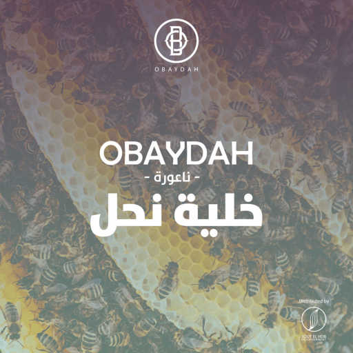 كلمات اغنية عبيدة – خليّة نَحل مكتوبة