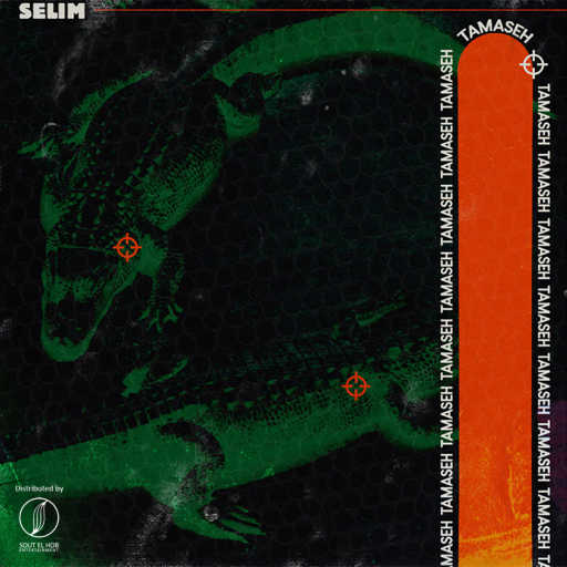 كلمات اغنية سليم – تماسيح مكتوبة