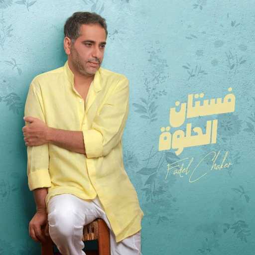 كلمات اغنية فضل شاكر – فستان الحلوة مكتوبة