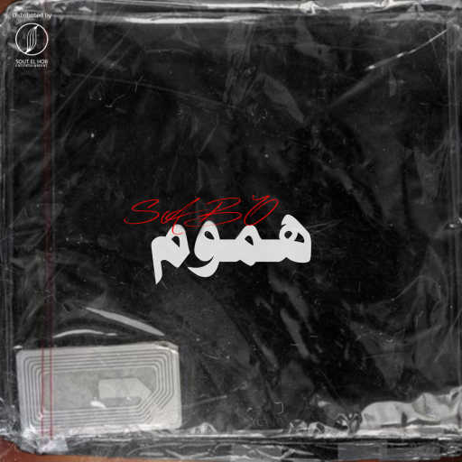 كلمات اغنية صابو – هموم مكتوبة