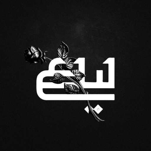 كلمات اغنية ليل – ليك مكتوبة