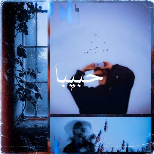 كلمات اغنية ابو علي 827 – حبيبا مكتوبة