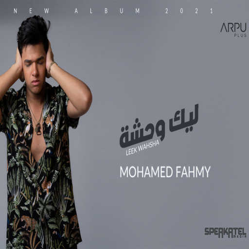 كلمات اغنية محمد فهمي – ليك وحشة مكتوبة