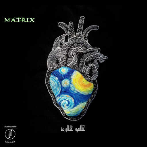 كلمات اغنية معاذ ماتريكس – قلب شارد مكتوبة