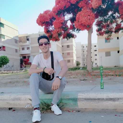 كلمات اغنية احمد ‏مصطفي ‏رسلان – لو توهتي مكتوبة