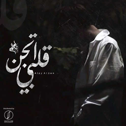 كلمات اغنية بلاك ديڤل – قلبي اتجن مكتوبة