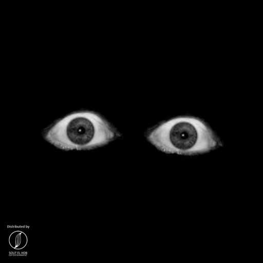 كلمات اغنية شادى ڤولت – اوفلاين مكتوبة