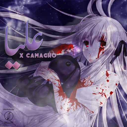 كلمات اغنية اكس كامتشو – عليا‬ مكتوبة