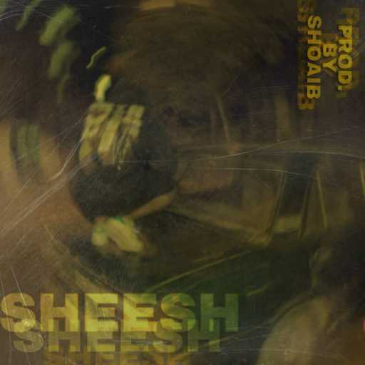 كلمات اغنية دا فينجي – شييش مكتوبة