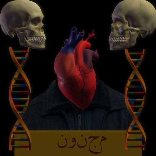 كلمات اغنية زوسر – مجنون مكتوبة