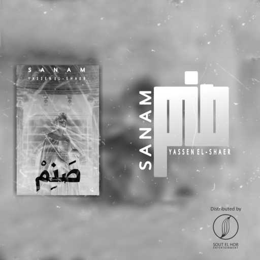 كلمات اغنية بلاك ديڤل – صنم مكتوبة