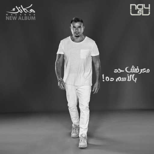 كلمات اغنية عمرو دياب – معرفش حد بالإسم ده مكتوبة