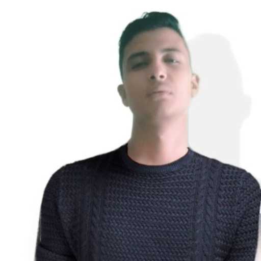 كلمات اغنية انس حبشي – كان عندي حلم مكتوبة