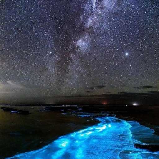 كلمات اغنية كلاتش – في احلامي بتجيلي مكتوبة