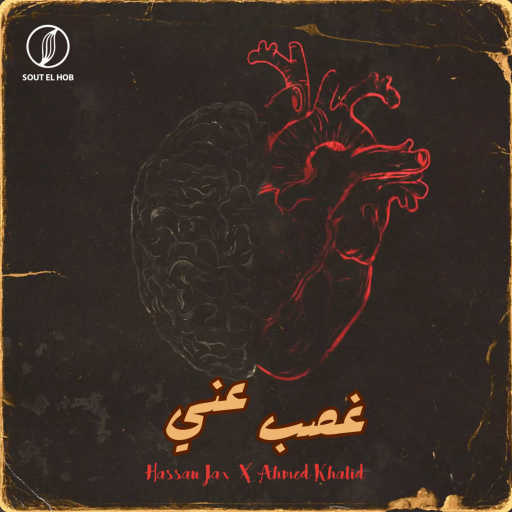 كلمات اغنية حسن جاكس – غصب عني مكتوبة