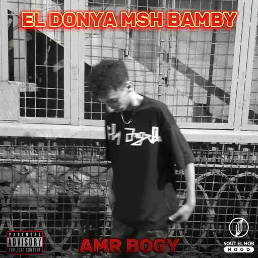 كلمات اغنية عمرو بوجي – الدنيا مش بامبي مكتوبة