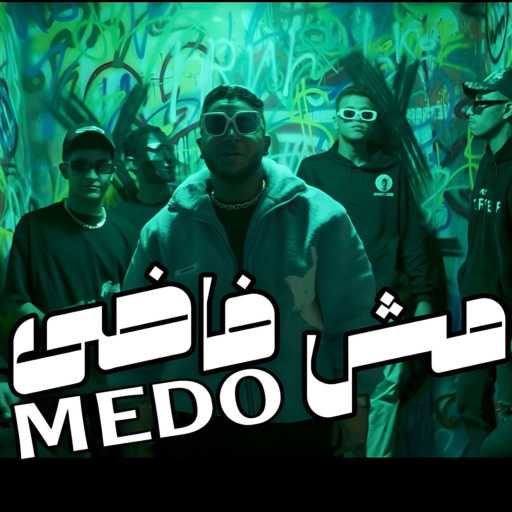 كلمات اغنية ميدو – مش فاضى مكتوبة