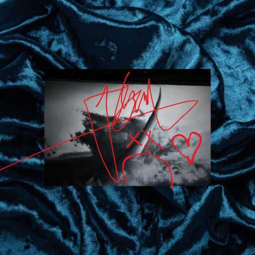 كلمات اغنية أبيوسف – العاصفة مكتوبة