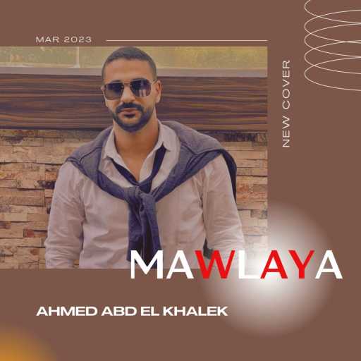 كلمات اغنية احمد عبد الخالق – ميدلي مولاي – محمد نبينا – قمر سيدنا النبي قمر مكتوبة