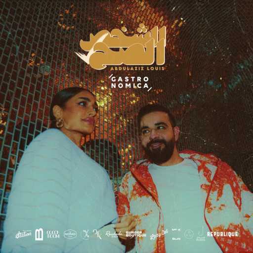 كلمات اغنية عبدالعزيز لويس – الشخص الصح مكتوبة