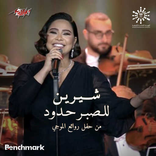 كلمات اغنية شيرين عبدالوهاب – للصبر حدود مكتوبة