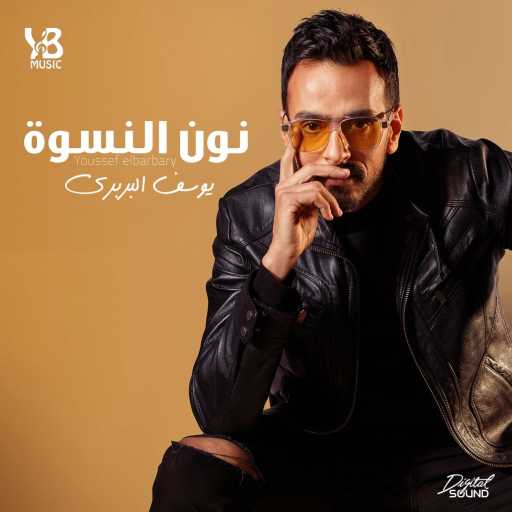 كلمات اغنية يوسف البربرى – نون النسوه مكتوبة