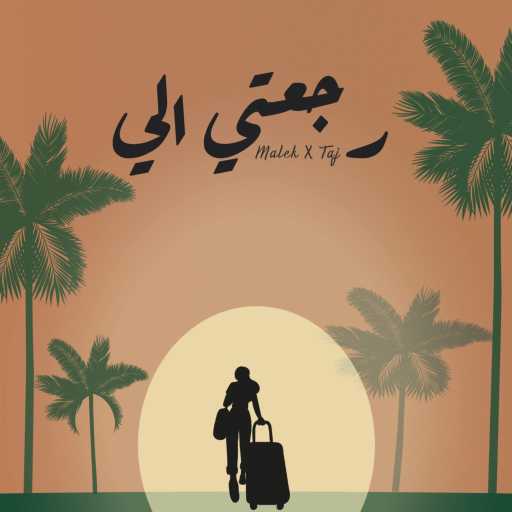 كلمات اغنية مالك – رجعتي الي مكتوبة