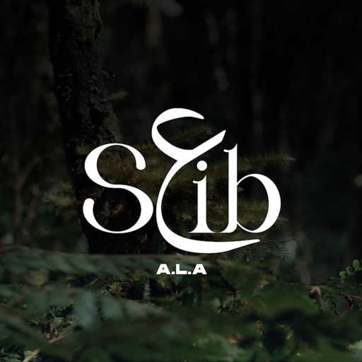 كلمات اغنية علاء – S3ib مكتوبة