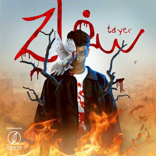 كلمات اغنية طاير – سفاح مكتوبة