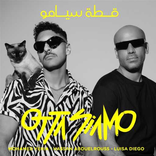 كلمات اغنية حسن ابو الروس ومحمد يحيي – قطة سيامو مكتوبة