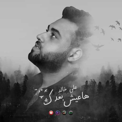 كلمات اغنية علي خالد – هاعيش بعدك مكتوبة