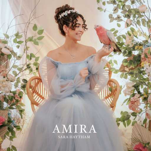 كلمات اغنية سارة هيثم – اميرة مكتوبة