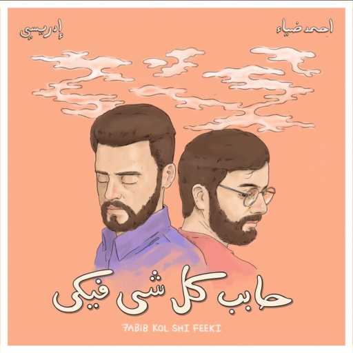 كلمات اغنية Idreesi & Ahmed Diaa – حابب كل شي فيكي مكتوبة