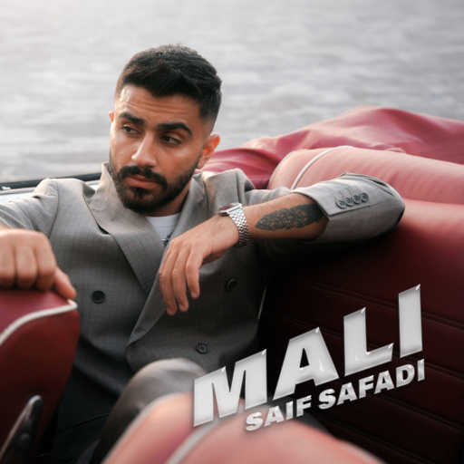 كلمات اغنية سيف الصفدي – مالي مكتوبة