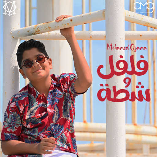 كلمات اغنية محمد أسامة – فلفل وشطة مكتوبة