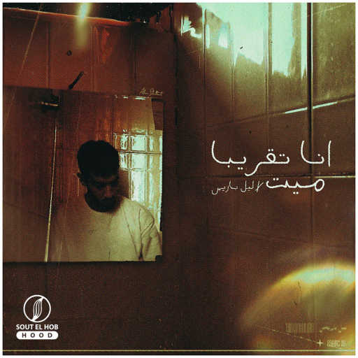 كلمات اغنية دي إكس إن ليل باريس – انا تقريبا ميت مكتوبة