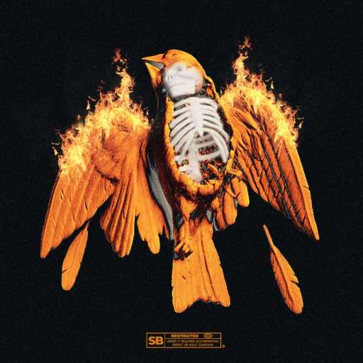 كلمات اغنية ولجيز – مرسى مكتوبة