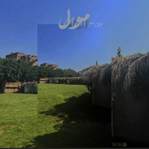 كلمات اغنية دودده – مول مكتوبة