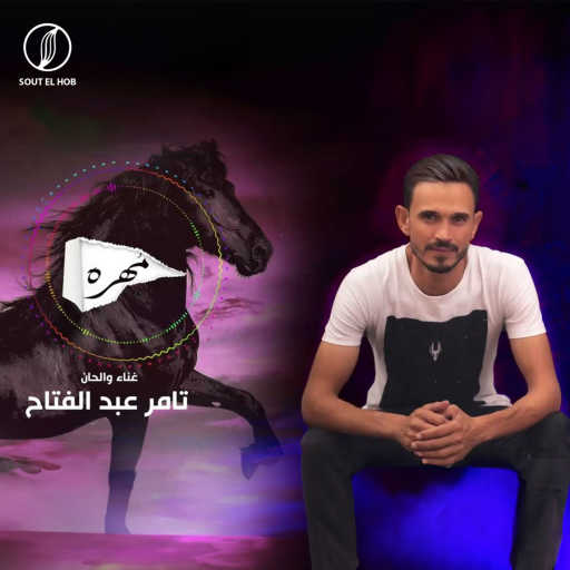 كلمات اغنية تامرعبدالفتاح – مهره مكتوبة