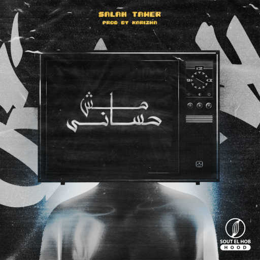 كلمات اغنية صلاح تامر – مش حسااني مكتوبة