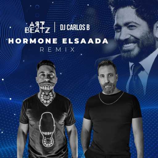 كلمات اغنية دي جي أبو حلگ – ريمكس هرمون السعادة مكتوبة