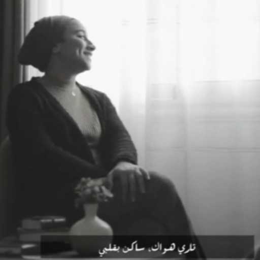 كلمات اغنية Loopazzika Band – بشر – رجعنا التقينا (كوفر) مكتوبة