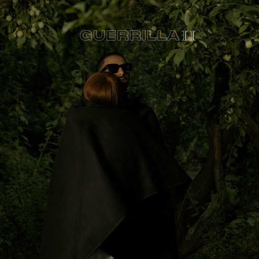 كلمات اغنية Raste & SYC – Guerrilla, pt. 2 مكتوبة