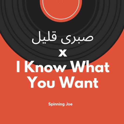 كلمات اغنية Spinning Joe – صبرى قليل x I Know What You Want مكتوبة