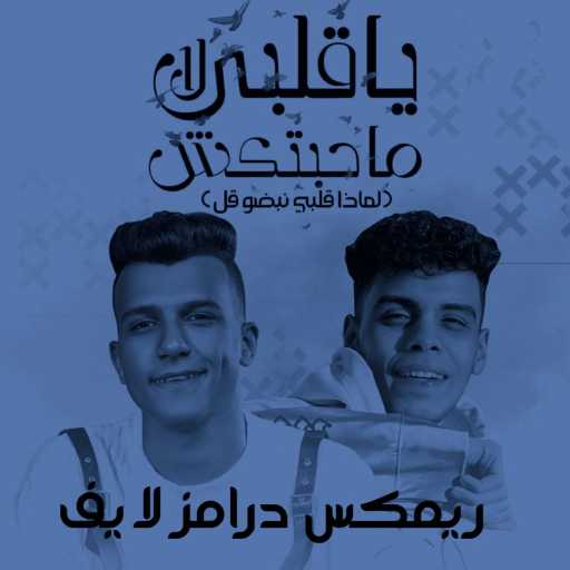 كلمات اغنية وليد احمد – يا قلبي لا محبتكش (لماذا قلبي نبضو قل) ريمكس درامز لايف مكتوبة