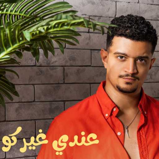 كلمات اغنية احمد عليان – عندي غيركوا مكتوبة