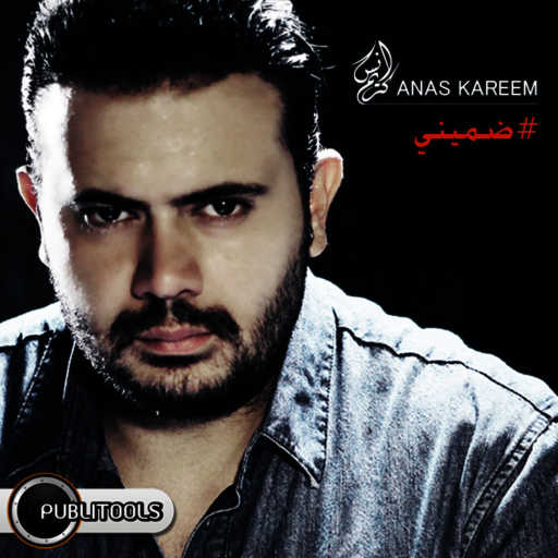 كلمات اغنية أنس كريم – ضميني مكتوبة